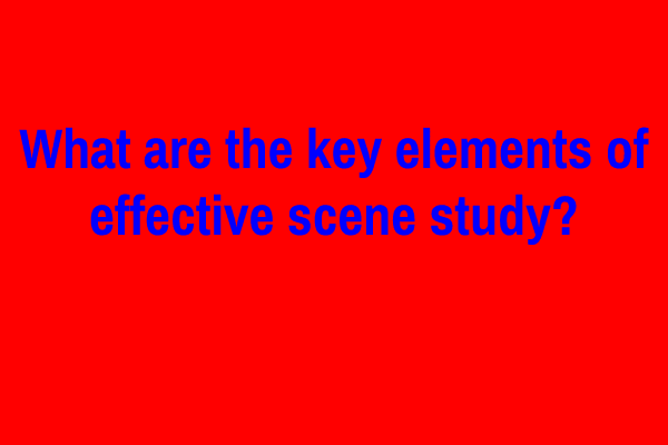 What are the key elements of effective scene study?