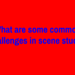What are some common challenges in scene study?