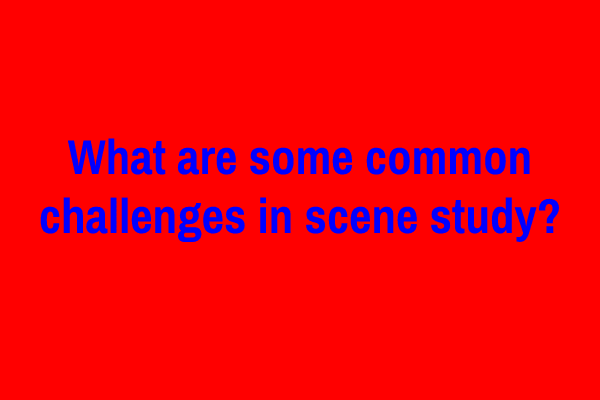 What are some common challenges in scene study?
