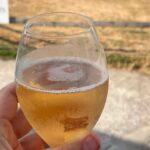 ‘I had a delightful evening of luxury and champagne at Bath farm’