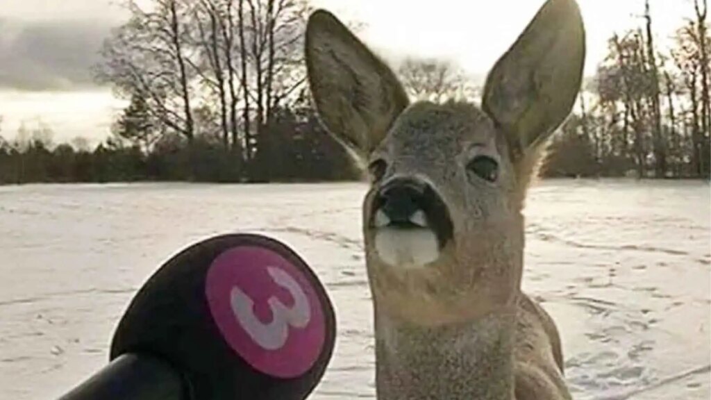 15 Photos We Can’t Really Explain, But They’re Entertaining None the Less