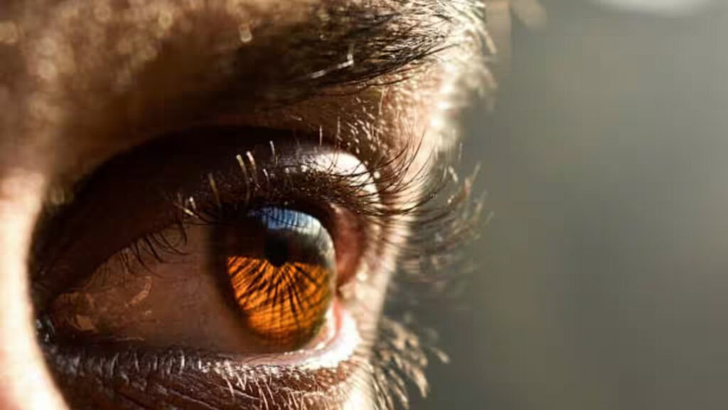 Stem Cell ‘Scaffold’ Restores Vision in Rare Eye Disorder in First Human Trial
