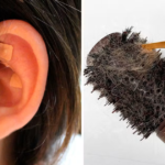 65 Dirt Cheap Things Skyrocketing in Popularity on Amazon