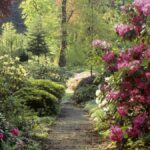 Pembrokeshire valley has secret walled garden, old mine shaft, and 900 acres of woodland