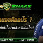 ราคาบอลคืออะไร ? อธิบายให้เข้าใจง่ายสำหรับมือใหม่