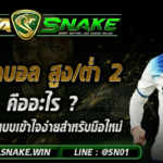 ราคาบอลสูง/ต่ำ 2 คืออะไร ? อธิบายแบบเข้าใจง่ายสำหรับมือใหม่