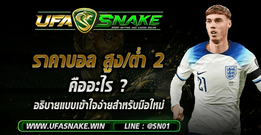 ราคาบอลสูง/ต่ำ 2 คืออะไร ? อธิบายแบบเข้าใจง่ายสำหรับมือใหม่