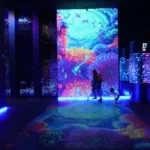 First jellyfish museum in the United States opens in Florida