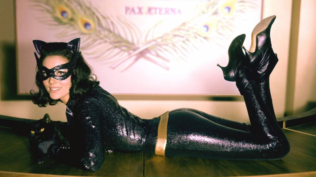 All 8 Catwoman Actresses Ranked