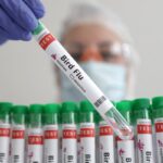 Australia confirms first mammal bird flu case