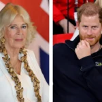 Where Queen Camilla and Prince Harry’s Relationship Stands After the Duke’s ‘Vile Attacks’ Against His Stepmother