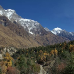 Best Manaslu and Annapurna Trekking Company in Nepal: Complete Guide