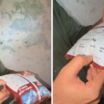 ‘Would Those In Power Feed This To Their Children?’: Abhijeet Dipke Flags Alleged Expired Food At Govt School Amid CJP’s ‘School Thik Karo’ Campaign