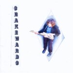 Sharp Pins’ Joe Glass Announces Expanded ‘Snakewards’: Hear “It’s No Wonder”