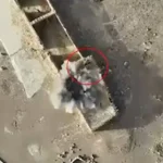 بلوچستان میں سیکیورٹی فوسرز کا انٹیلی جنس بیسڈ آپریشن، 2 دہشتگرد ہلاک