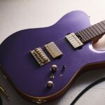 Harley Benton Fusion-T II HH RW HT PM review
