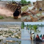قدرتی آفات کیخلاف مالی تحفظ کاجامع نظام وقت کی ضرورت