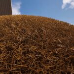 Forget GTA 6, Everyone is Obsessed with the ‘Find a Needle in a Haystack’ Game