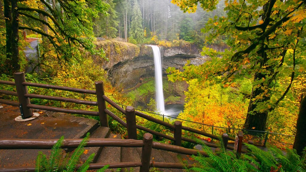 Tourist dies after 177-foot fall at Oregon’s Silver Falls State Park
