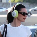 Kendall Jenner Uses $1,800 The Row Tori Bag to Carry Her Dog