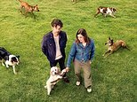 Dog Park | Daily Mail Online