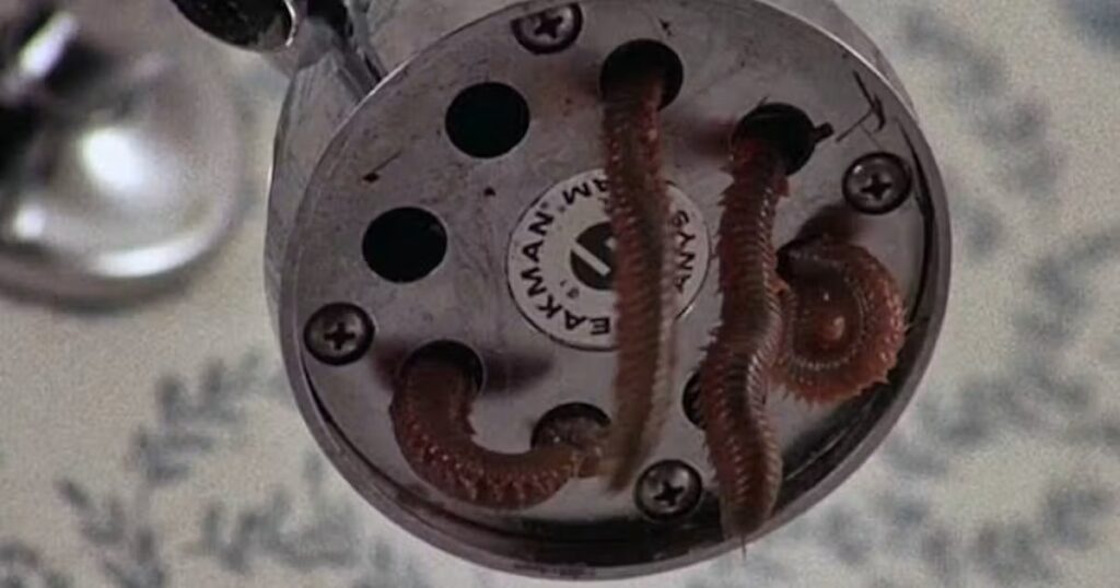 50 Years Later, The Gnarliest Horror Movie Is Still As Uncomfortable As Ever