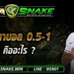ราคาบอล 0.5-1 คืออะไร? อธิบายครึ่งควบลูก พร้อมตัวอย่างผลได้เสีย