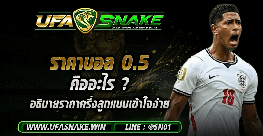 ราคาบอล 0.5 คืออะไร ? อธิบายราคาครึ่งลูกแบบเข้าใจง่าย