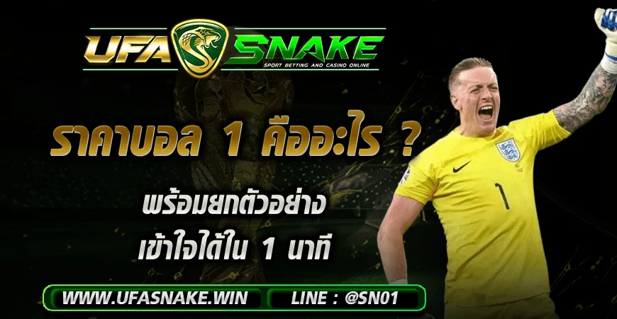 ราคาบอล 1 คืออะไร ? อธิบายราคาหนึ่งลูก พร้อมตัวอย่างผลได้เสีย