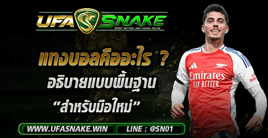 แทงบอลคืออะไร ? อธิบายแบบพื้นฐานสำหรับมือใหม่