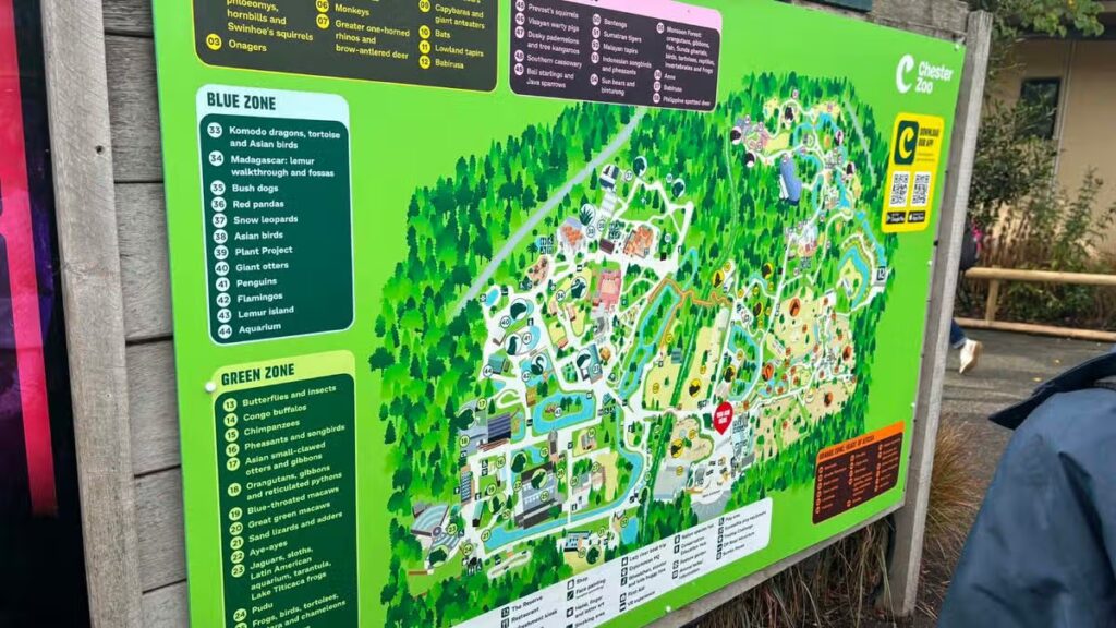 Chester Zoo issues statement following criticism of ‘child predator tour’ tickets advert