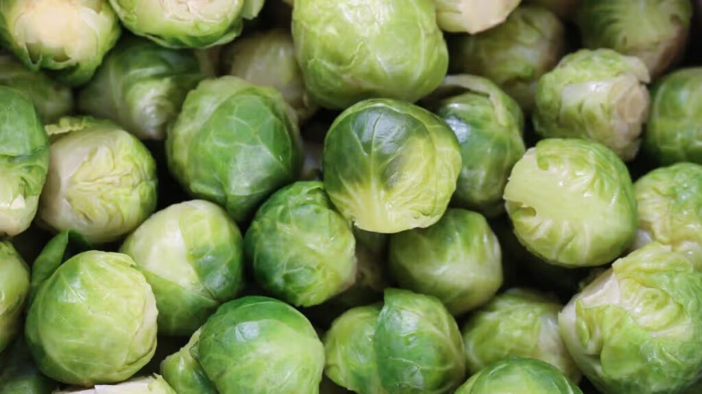 Fears there may be no Brussels sprouts for Christmas this year