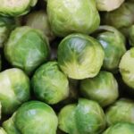 Fears there may be no Brussels sprouts for Christmas this year