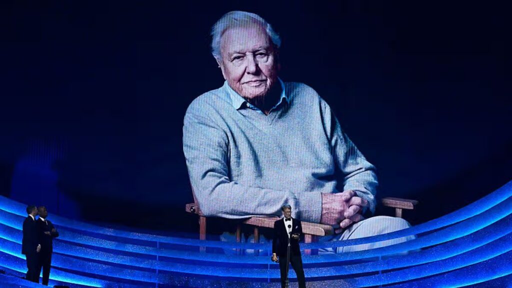 David Attenborough, 100, says ‘natural world needs us’ in NTA acceptance speech