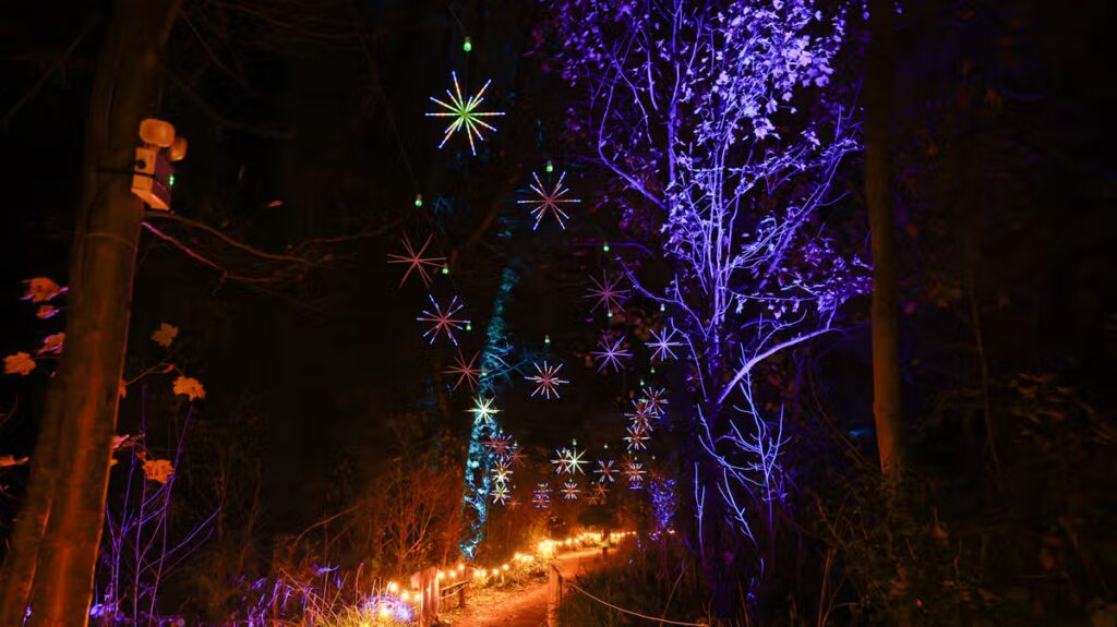 Coombe Abbey promises ‘best Luminate yet’ as details confirmed for Christmas 2026