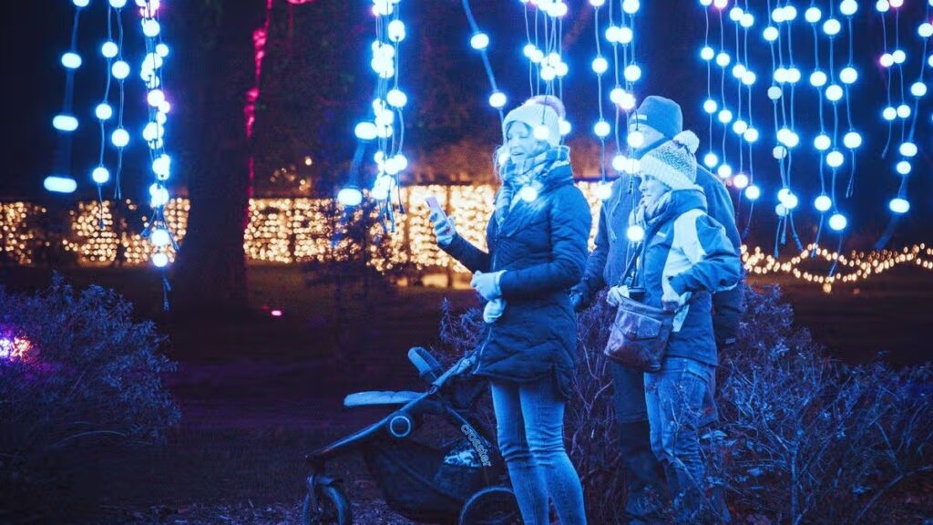 ‘Top UK immersive light trail’ returns to Bristol this winter