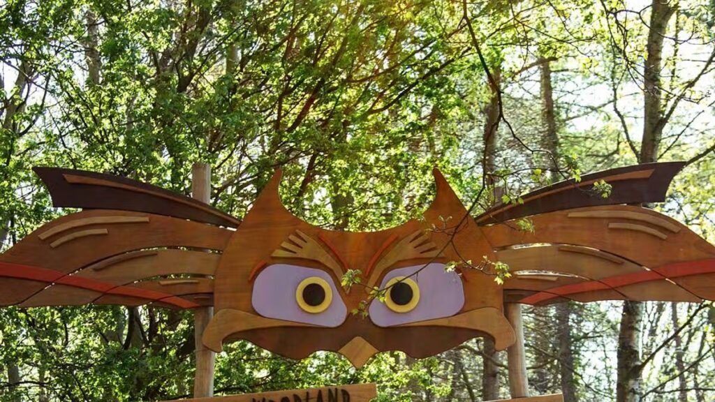 The free giant woodland playground just half an hour from Coventry that kids love