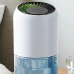 Dunelm’s small dehumidifier that ‘doesn’t eat up the electric’ drops to £9.50
