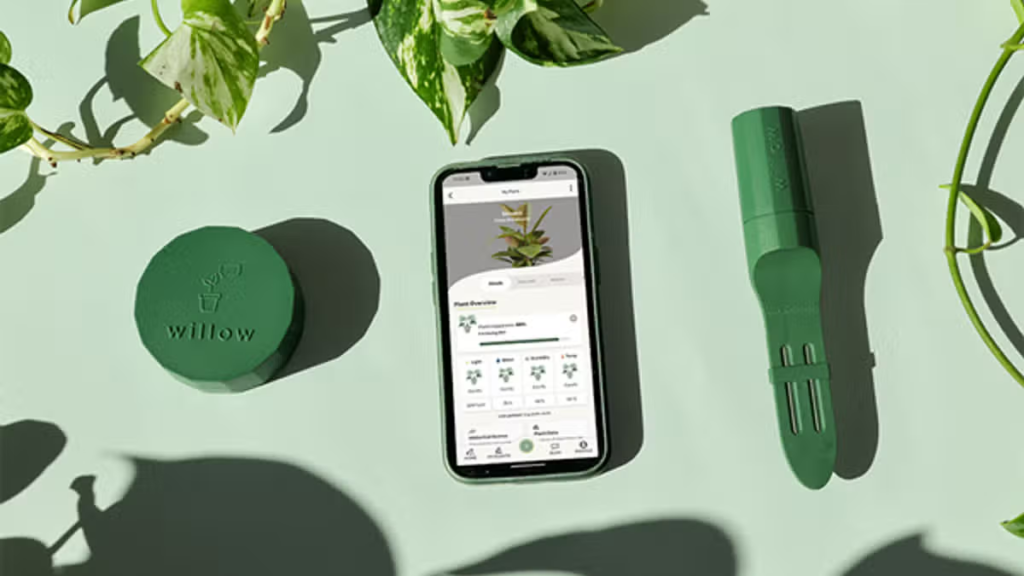 Review: Plant With Willow promises to keep your houseplants alive and thriving