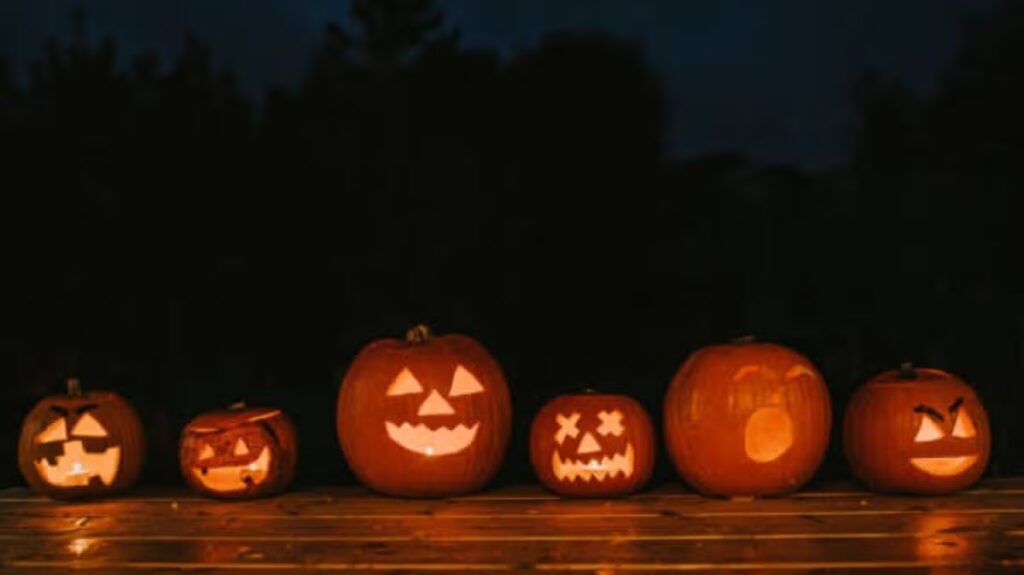 Halloween warning issued with pumpkins ‘too small to carve’ this year