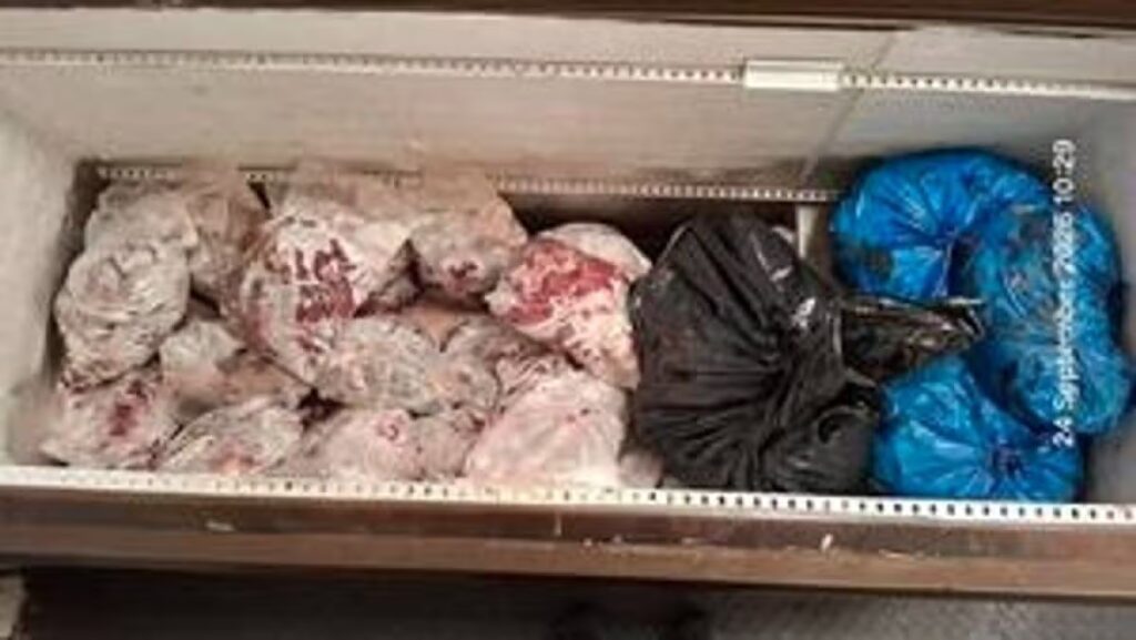 ‘Unidentified’ meat seized in Leicester raid as man arrested in major operation