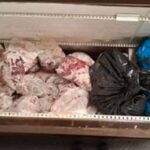 ‘Unidentified’ meat seized in Leicester raid as man arrested in major operation