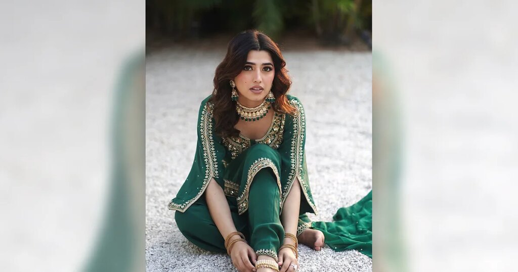Bigg Boss 20: Just Who Is Love Gill?