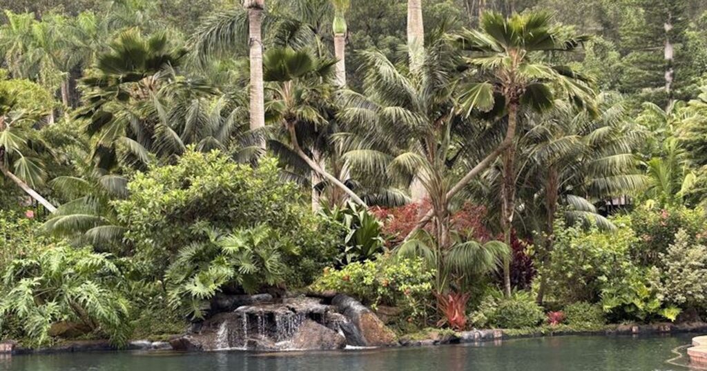 I Went to Sensei Lānaʻi to Find My Baseline