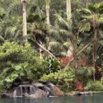 I Went to Sensei Lānaʻi to Find My Baseline