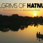 Jalgaon: ‘Pilgrims of Hatnur’ Selected For International Tourism Short Film Festival