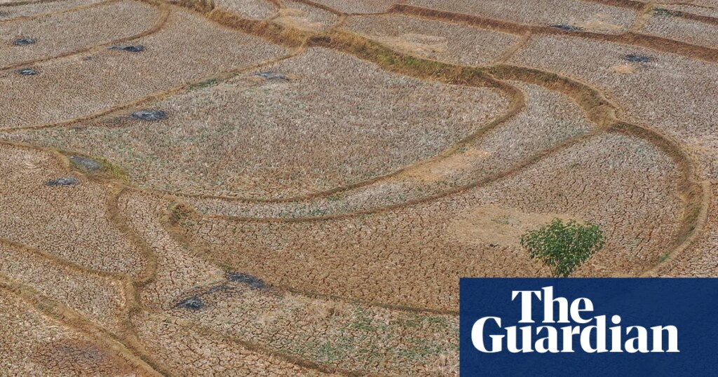 Huge El Niño projected to cause 450,000 deaths in next six months | El Niño southern oscillation