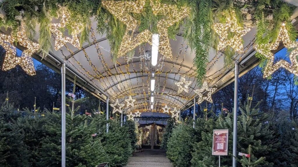 Welsh garden centre’s magical grotto return date for Christmas 2026 and there’s a big change