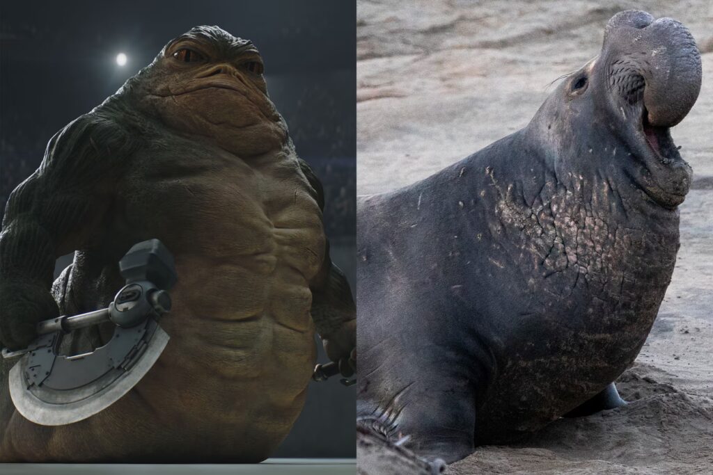 Star Wars: Rotta the Hutt Design in The Mandalorian and Grogu Explained