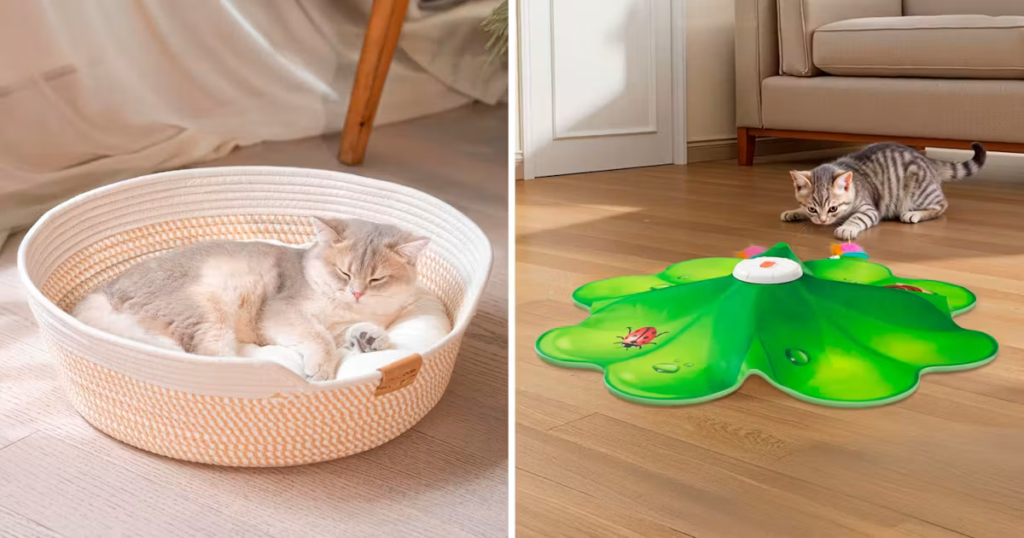 75 Weird Things For Your Cat That Are Actually Life-Changing